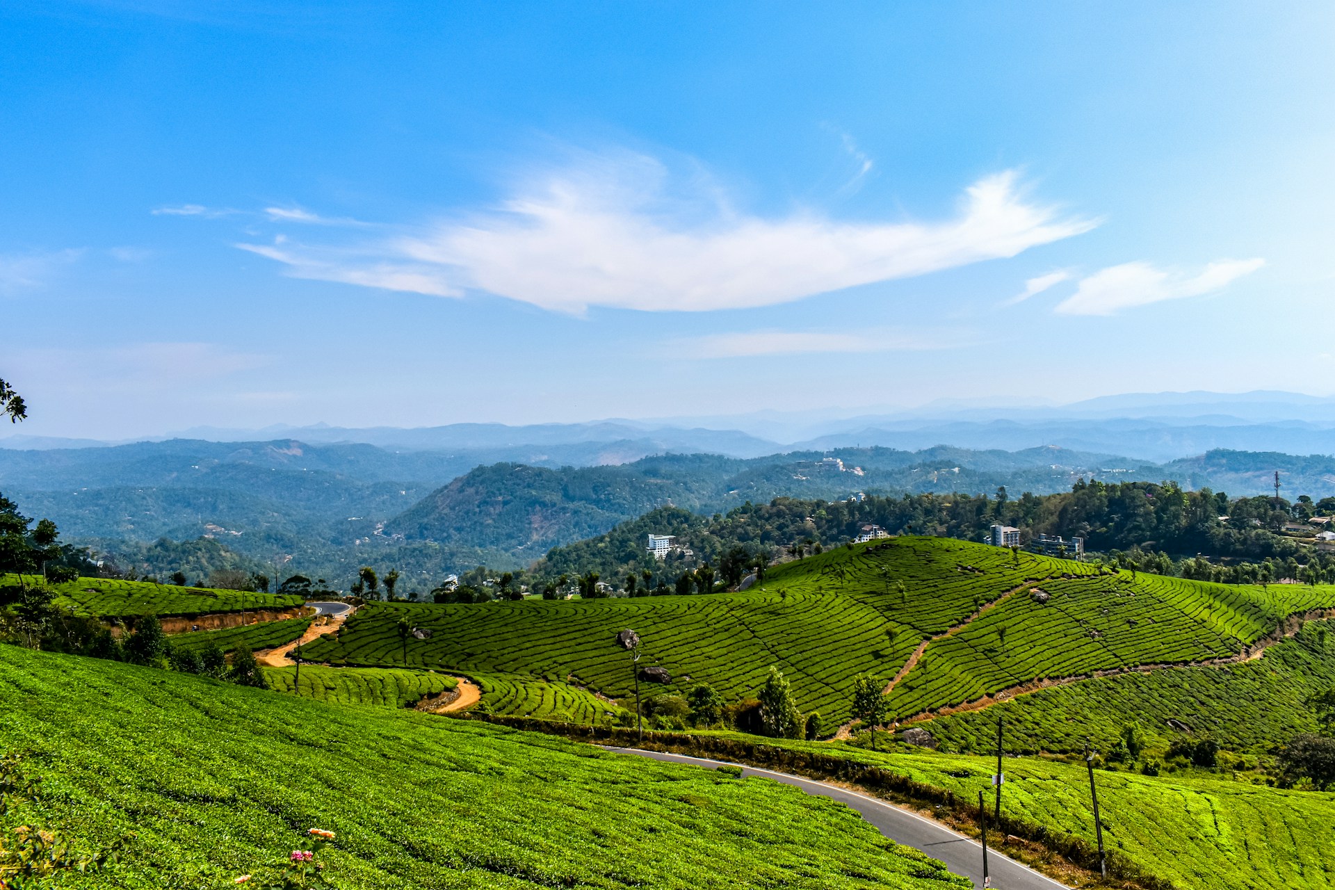 Munnar Packages